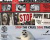 Stop Animal Cruelty