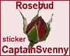 [ALP] rosebud