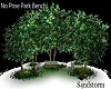 MagnoliaTrees MiniPark