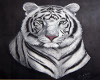 res white tiger rug