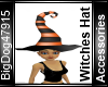 [BD] Witches Hat