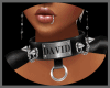  シ DAVID