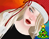 ! Xmas Beanie Highlights