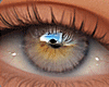 Eyes