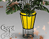 Gold Vase Plant