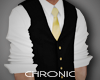 [c] Suit vest & shirt V3