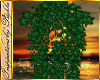 I~Jungle Ivy Vine Plant