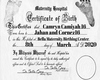 Custom Birth Certificate