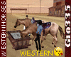 GI*WESTERN HORSES DRINK