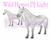 DJ WHITE HORSES