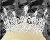 [AM]Diamond Crown