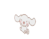 Cinnamo anim