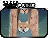 ♛ shiba-senpai. B(