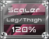 (3) Leg/Thigh (120%)