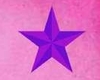 [NJ] Purple Star Dance 2