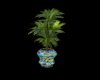 psuchadelic potted plant