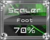 (3) Feet (70%)