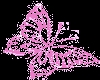 Pink Butterfly gif.