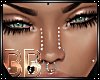 [BB]Silver Nose Studs