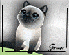 Mimi Cat