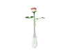 Cream/Red Rose in vase