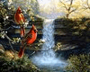 cardinal's by the stream