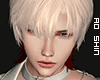 侍. Disorder Hair V6
