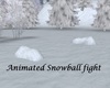 SC Anim Snowball Fight