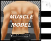Muscle Sexy Model M