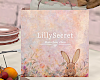 Lillysecret shop bag