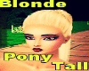 Blonde Pony Tail