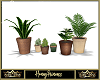 Cozy Winter Plants