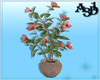 A3D* Hibiscus