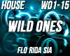 House - Wild Ones