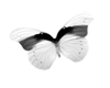 Butterfly Sticker 1