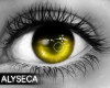 Aly! Inu eyes v2