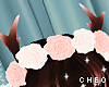 𝓒. BLITZEN antlers 3