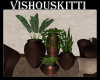 [VK] Tropical Plants