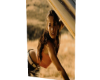 âHot Rideâ