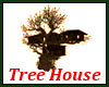 Big tree House