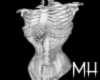 [MH] Corset Skeleton