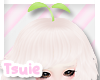 [Ts] My Sproutie