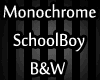 Monochrome SchoolBoy
