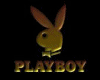 Gold Playboy swing