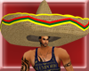 FUNNY BIG MEXICAN HAT