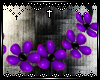 [Anry] Purple Flowers NL