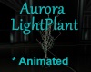[BD]AuroraLightPlant
