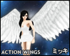 ! Feather Wings [F] #act