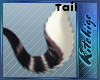 K!t - Chimocha Tail 1