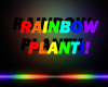 Rainbow Plant Animated